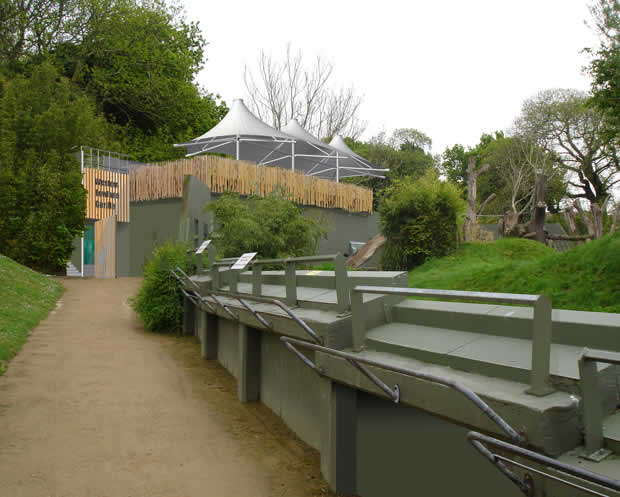 Durrell Gorilla Enclosure main